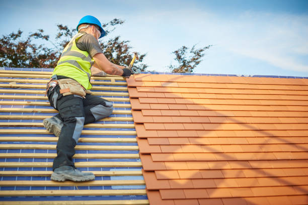 Best Metal Roofing Installation  in Kayenta, AZ